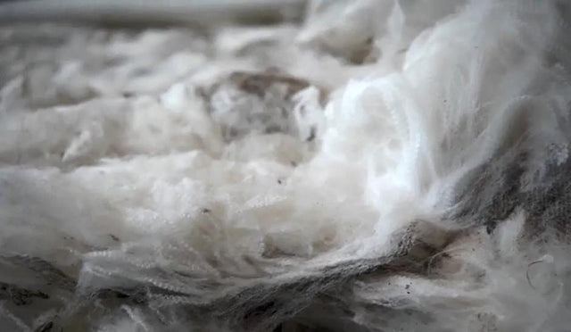 From fibre to fabric